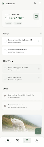 Reminders and tasks screen