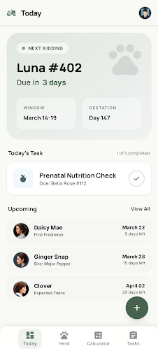 Goat Kidding Calculator - Today Dashboard showing upcoming kidding dates